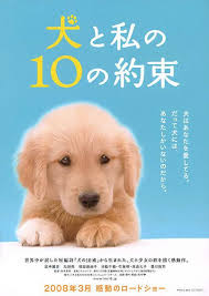 ดูหนังออนไลน์ฟรี Promises to My Dog (2008) 10 ข้อสัญญาน้องหมาของฉัน