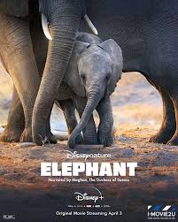 ดูหนังออนไลน์ฟรี Elephant อัศจรรย์ชีวิตของช้าง (2020)