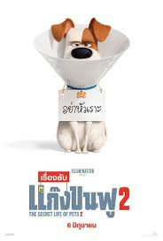 ดูหนังออนไลน์ฟรี The Secret Life of Pets 2 เรื่องลับแก๊งขนฟู 2