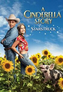 ดูหนังออนไลน์ฟรี A Cinderella Story Starstruck (2021)