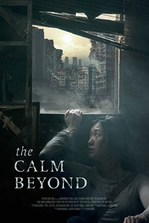 ดูหนังออนไลน์ฟรี The Calm Beyond (2022) บรรยายไทย