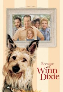 ดูหนังออนไลน์ฟรี Because of Winn-Dixie วินน์-ดิ๊กซี่ เพื่อนแท้พันธุ์ตูบ (2005)