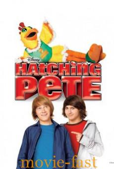 ดูหนังออนไลน์ Hatching Pete (2009) บรรยายไทย