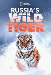 ดูหนังออนไลน์ฟรี “Big Cat Week” Russia’s Wild Tiger (2022)