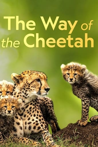 ดูหนังออนไลน์ฟรี Big Cat Week The Way of the Cheetah (2022)