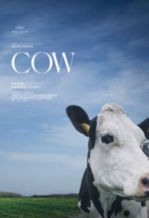 ดูหนังออนไลน์ฟรี Cow โคนม (2022)