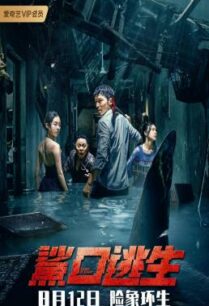 ดูหนังออนไลน์ฟรี Escape of Shark โคตรฉลามคลั่ง (2021) บรรยายไทย