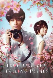 ดูหนังออนไลน์ฟรี Love Like the Falling Petals ใบไม้ผลิที่ไม่มีเธอเป็นซากุระ (2022)