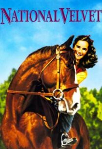 ดูหนังออนไลน์ฟรี National Velvet (1944)