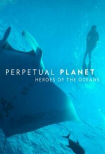 ดูหนังออนไลน์ฟรี Perpetual Planet- Heroes of the Oceans (2021) บรรยายไทย