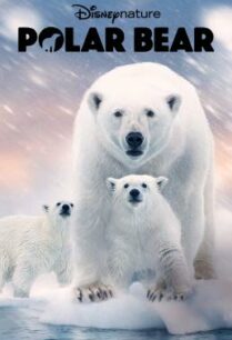 ดูหนังออนไลน์ฟรี Polar Bear โพล่าแบร์ (2022)