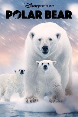 ดูหนังออนไลน์ฟรี Polar Bear โพล่าแบร์ (2022)