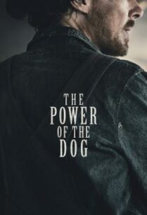 ดูหนังออนไลน์ฟรี The Power of the Dog เดอะ พาวเวอร์ ออฟ เดอะ ด็อก (2021)