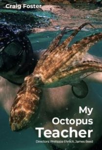 ดูหนังออนไลน์ฟรี My Octopus Teacher บทเรียนจากปลาหมึก (2020) NETFLIX