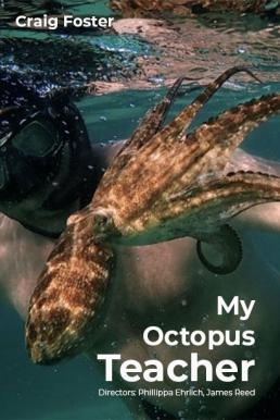 ดูหนังออนไลน์ฟรี My Octopus Teacher บทเรียนจากปลาหมึก (2020) NETFLIX