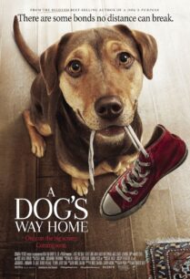 ดูหนังออนไลน์ฟรี A Dog’s Way Home เพื่อนรักผจญภัยสี่ร้อยไมล์ (2019)