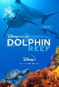 ดูหนังออนไลน์ฟรี Dolphin Reef (2020) Disney+