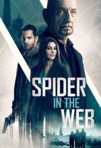 ดูหนังออนไลน์ฟรี Spider in the Web สไปเดอร์ อิน เดอะเว็บ (2019)