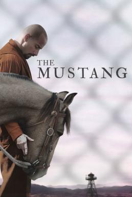 ดูหนังออนไลน์ฟรี The Mustang (2019)