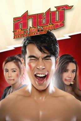 ดูหนังออนไลน์ฟรี สายบู๊ ฟัด จัด หนัก Fist of Stardom (2019)