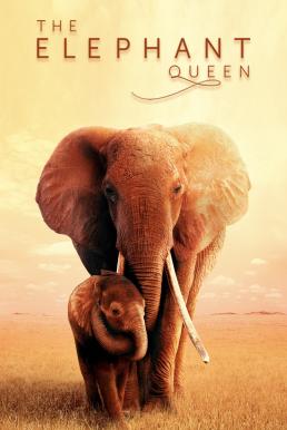 ดูหนังออนไลน์ฟรี The Elephant Queen อัศจรรย์ราชินีแห่งช้าง (2019) บรรยายไทย