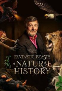 ดูหนังออนไลน์ฟรี Fantastic Beasts A Natural History สัตว์มหัศจรรย์ ประวัติศาสตร์ธรรมชาติ (2022)