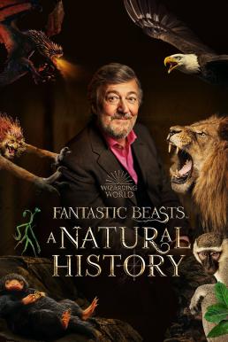 ดูหนังออนไลน์ฟรี Fantastic Beasts A Natural History สัตว์มหัศจรรย์ ประวัติศาสตร์ธรรมชาติ (2022)