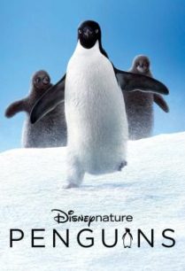 ดูหนังออนไลน์ฟรี Penguins (2019) HDTV