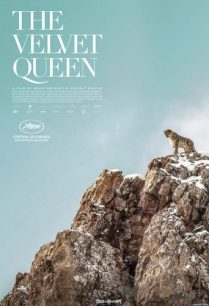 ดูหนังออนไลน์ฟรี The Velvet Queen เดอะ เวลเวทควีน (2021)