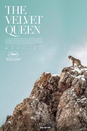 ดูหนังออนไลน์ฟรี The Velvet Queen เดอะ เวลเวทควีน (2021)