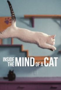 ดูหนังออนไลน์ฟรี Inside the Mind of a Cat คิดแบบแมวๆ (2022)