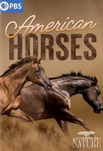 ดูหนังออนไลน์ฟรี Nature American Horses เนเจอร์ อเมริกัน ฮอร์ส (2022)