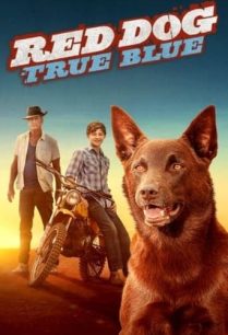 ดูหนังออนไลน์ฟรี Red Dog: True Blue เพื่อนซี้หัวใจหยุดโลก 2 (2016)