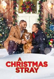 ดูหนังออนไลน์ฟรี A Christmas Stray คริสต์มาสเร่ร่อน (2021)