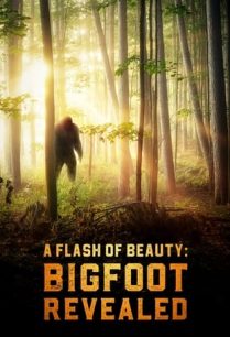 ดูหนังออนไลน์ฟรี A Flash of Beauty Bigfoot Revealed (2022)