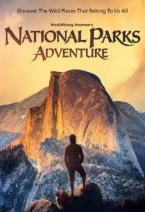 ดูหนังออนไลน์ฟรี America Wild: National Parks Adventure ผจญภัยในอุทยานแห่งชาติ (2016)