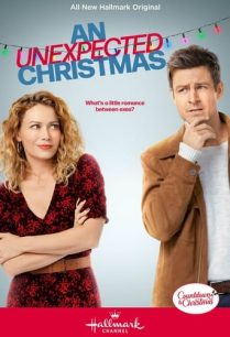 ดูหนังออนไลน์ฟรี An Unexpected Christmas (2021)