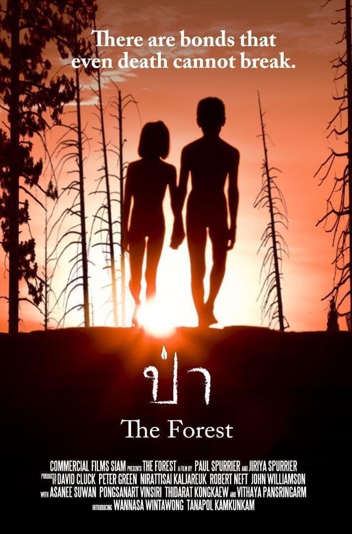 ดูหนังออนไลน์ฟรี ป่า The Forest (2016)