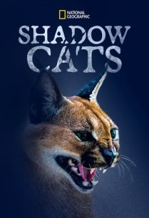 ดูหนังออนไลน์ฟรี Shadow Cats (2022)