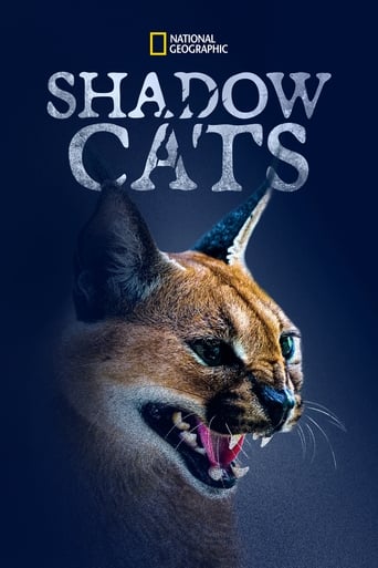 ดูหนังออนไลน์ฟรี Shadow Cats (2022)