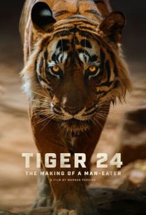 ดูหนังออนไลน์ฟรี Tiger 24 ไทเกอร์ 24 (2022)