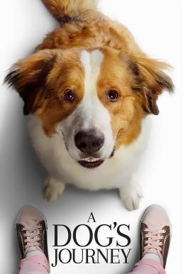 A Dog’s Journey หมา เป้าหมาย และเด็กชายของผม 2 (2019)