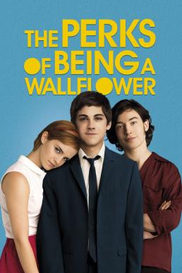The Perks of Being a Wallflower  (2012)