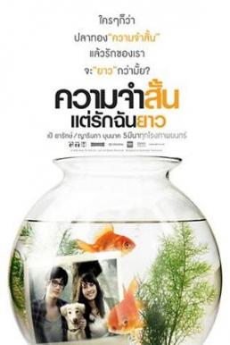 Best of times ความจำสั้น แต่รักฉันยาว