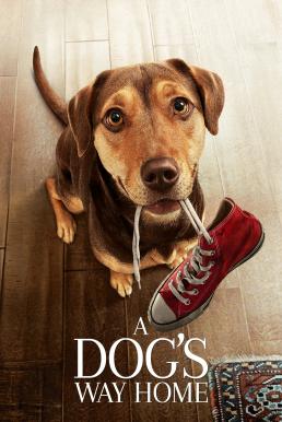 A Dog’s Way Home เพื่อนรักผจญภัยสี่ร้อยไมล์ (2019)