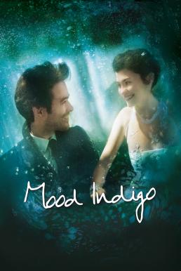 Mood Indigo (L’écume des jours) รักนี้มหัศจรรย์ (2013)