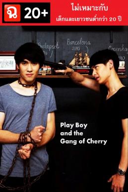 PlayBoy (and the Gang of Cherry) (2017) 20+