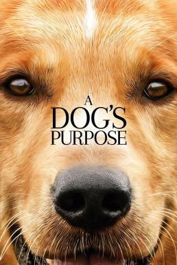 A Dog’s Purpose หมา เป้าหมาย และเด็กชายของผม (2017)